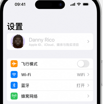 保定appleID维修服务iPhone设置中Apple ID显示为灰色无法使用 