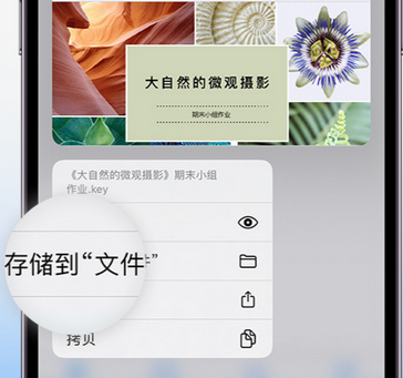 保定apple维修中心分享iPhone文件应用中存储和找到下载文件