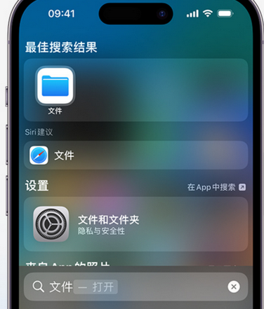 保定apple维修中心分享iPhone文件应用中存储和找到下载文件 