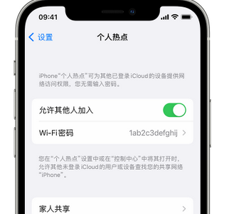 保定apple服务站点分享iPhone上个人热点丢失了怎么办