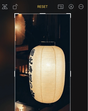 保定苹果手机维修店分享iOS17中一键式裁剪功能使用方法