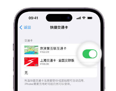 保定apple维修点分享iPhone上更换Apple Pay快捷交通卡手绘卡面 