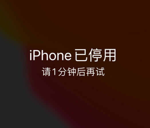 保定苹果手机维修分享:iPhone 显示“不可用”或“已停用”怎么办？还能保留数据吗？ 