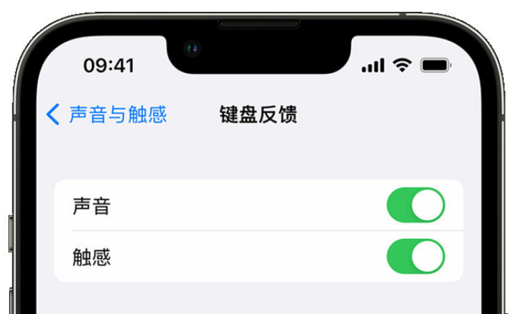 保定苹果手机维修分享iPhone 14触感键盘使用方法 