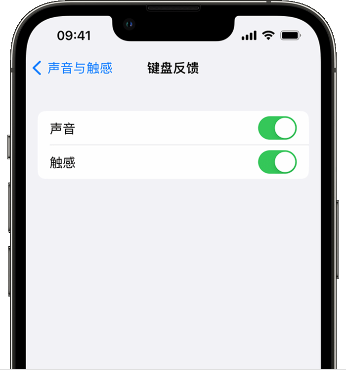 保定苹果14维修店分享如何在 iPhone 14 机型中使用触感键盘 