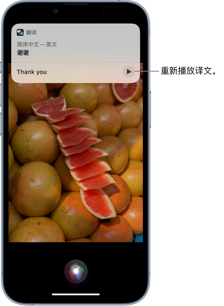 保定苹果14维修分享 iPhone 14 机型中使用 Siri：了解 Siri 能帮你做什么 