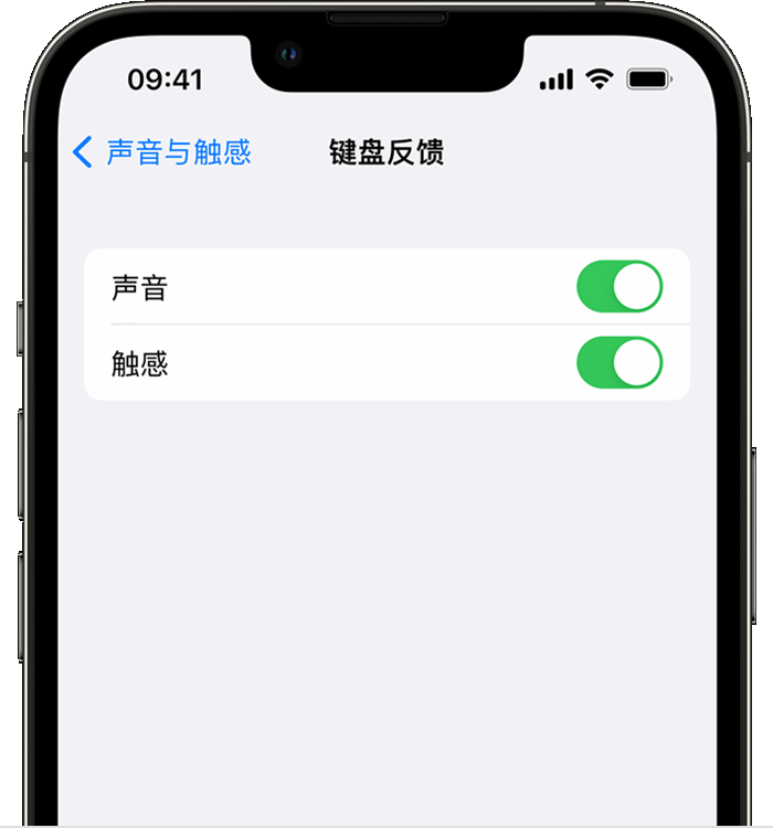 保定苹果14维修分享iPhone 14 系列机型如何开启键盘声音或触感反馈 