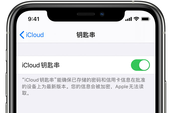 保定苹果手机维修分享在 iPhone 上开启 iCloud 钥匙串之后会储存哪些信息 