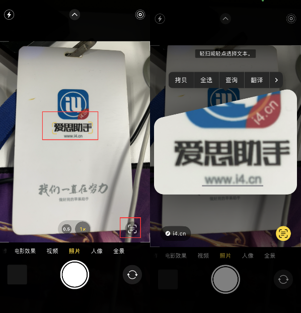 保定苹果手机维修分享升级iOS 16后如何通过相机翻译文本 