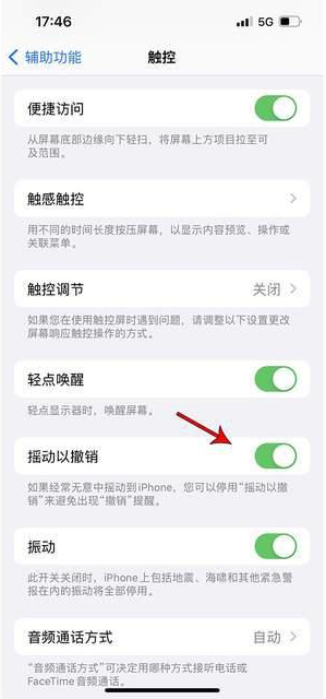 保定苹果手机维修分享iPhone手机如何设置摇一摇删除文字 