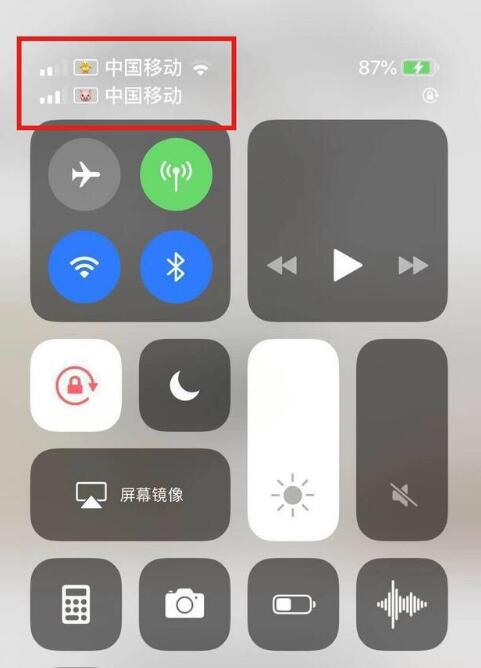 保定苹果手机维修分享为 iPhone 12 双卡设置标签 
